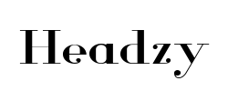 Headzy - logo